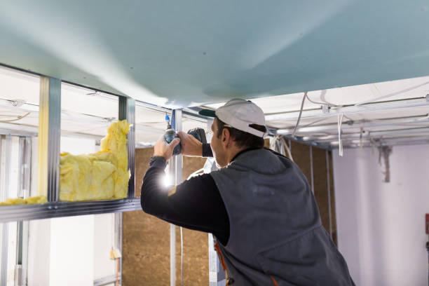 Best Insulation for New Construction  in Gustine, CA