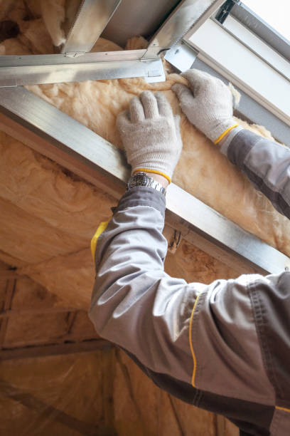 Best Crawl Space Insulation  in Gustine, CA